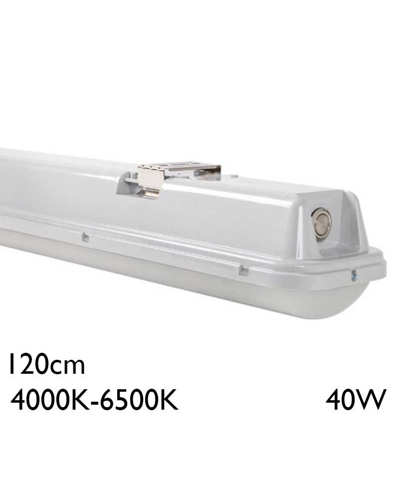 Regleta estanca 120cm LED 40W Switch 4000K-6500K DALI IP65