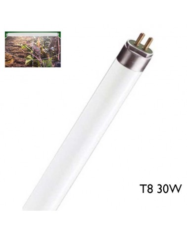 Tubo fluorescente para terrarios (con componente UV) 30W T8 59cm F30T8/TL