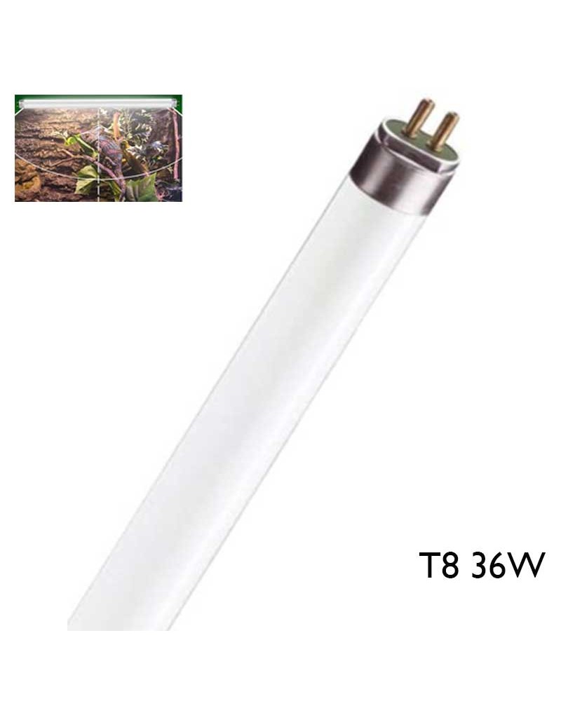 Tubo fluorescente para terrarios (con componente UV) 36W T8 59cm F36T8/TL