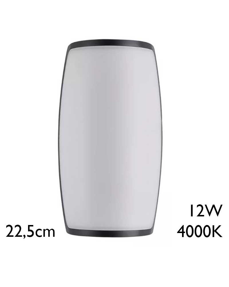 Outdoor wall light 22.5cm high LED 12W 4000K IP54