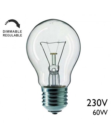 Clear reinforced standard filament bulb 60W 230V E27