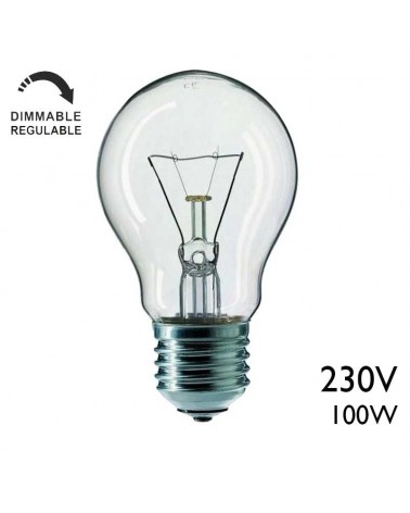 Clear reinforced standard filament bulb 100W 230V E27