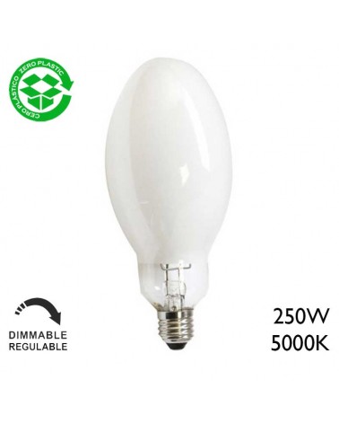 Lámpara bombilla de luz mezcla mercurio 250W E27 5000K